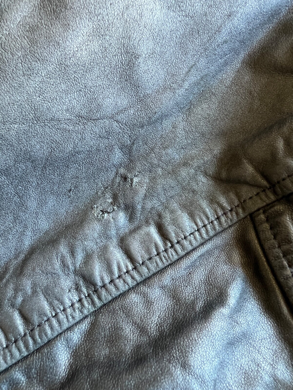 Golden Bear Varsity Jacket