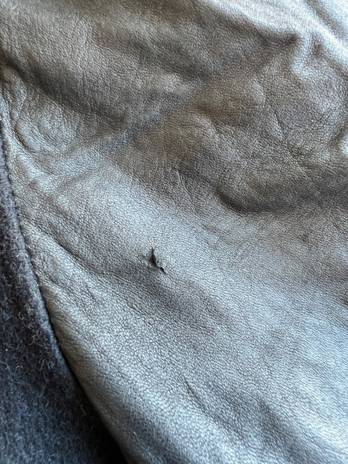 Golden Bear Varsity Jacket