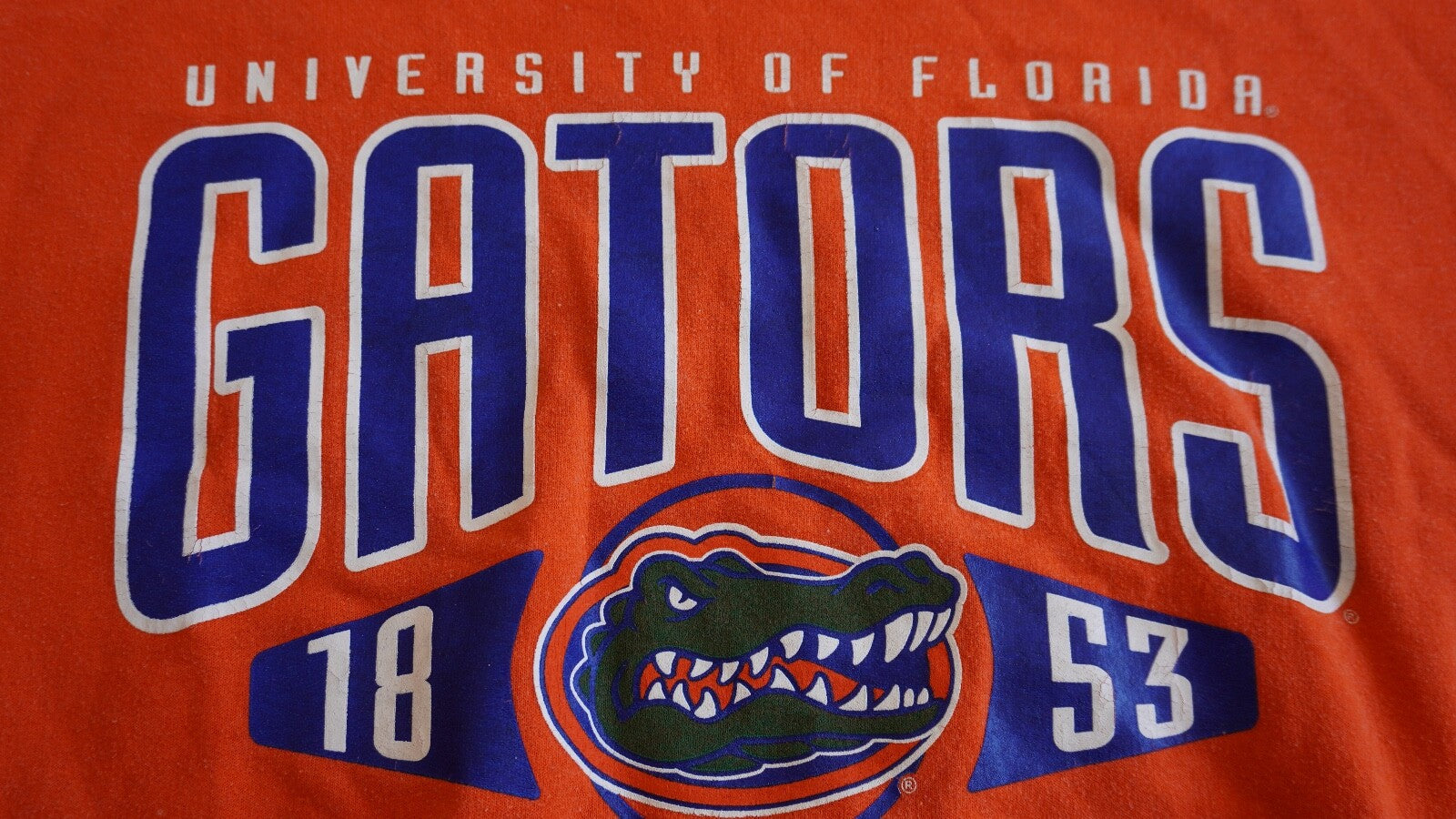 Vintage Y2K University of Florida "Gators" Crewneck Sweatshirt